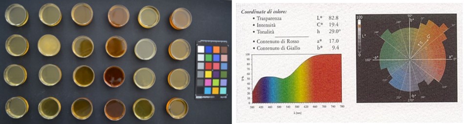 Colorimetria