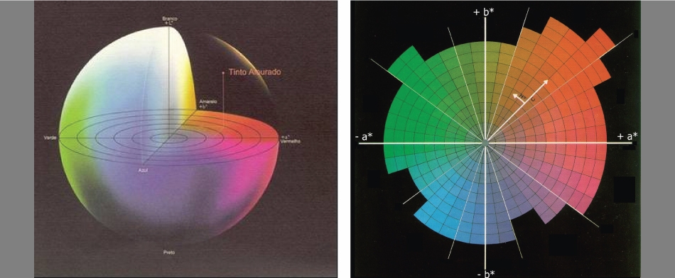 A sinistra (fig. 1): spazio CIELAB del colore. A destra (fig. 2): coordinate cartesiane a* e b* e polari C* e h. (Immagini: AILUN)